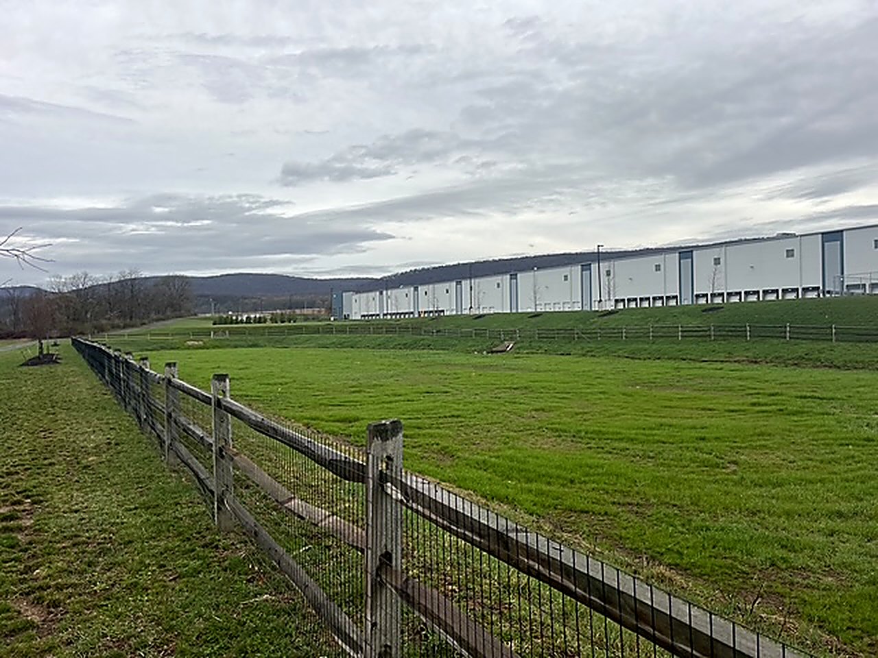 Hydroseeding: established grass along a fence line