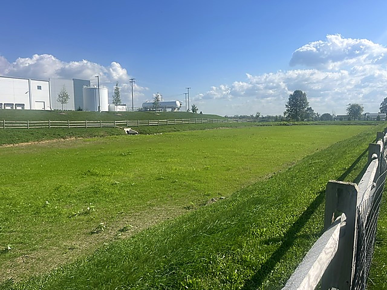 Hydroseeding: grass established at a commercial site